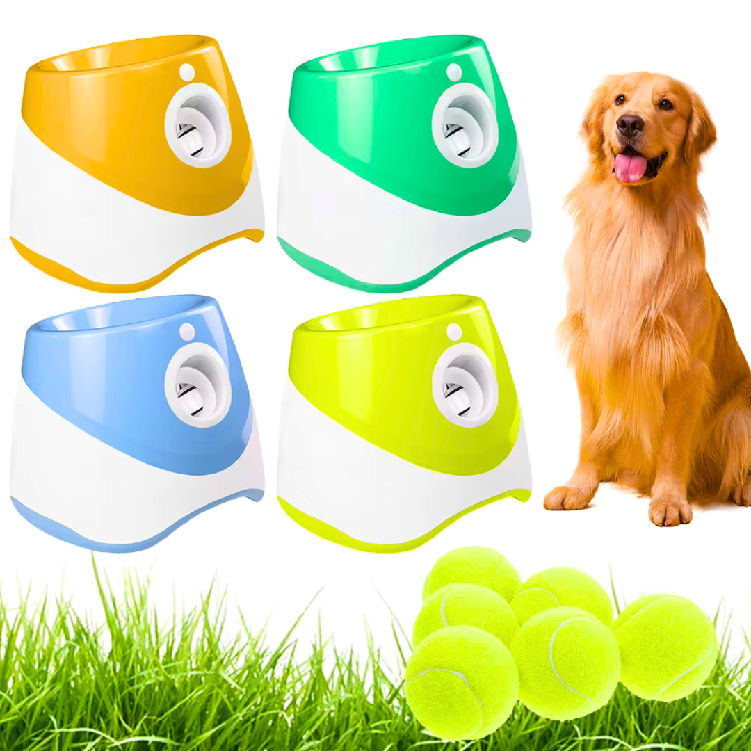 Fun Automatic Ball Launcher For Your Dog