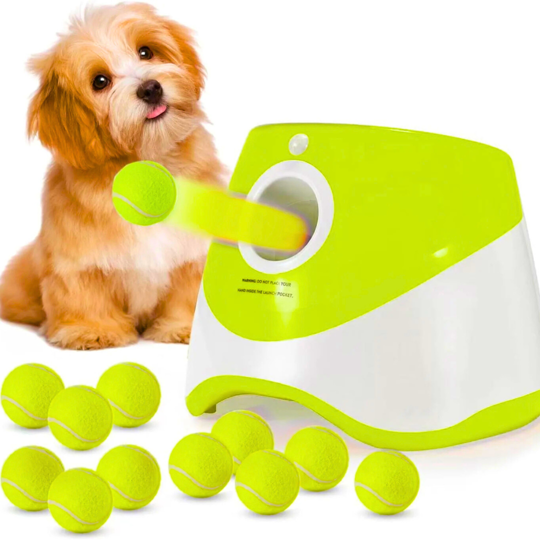 Fun Automatic Ball Launcher For Your Dog