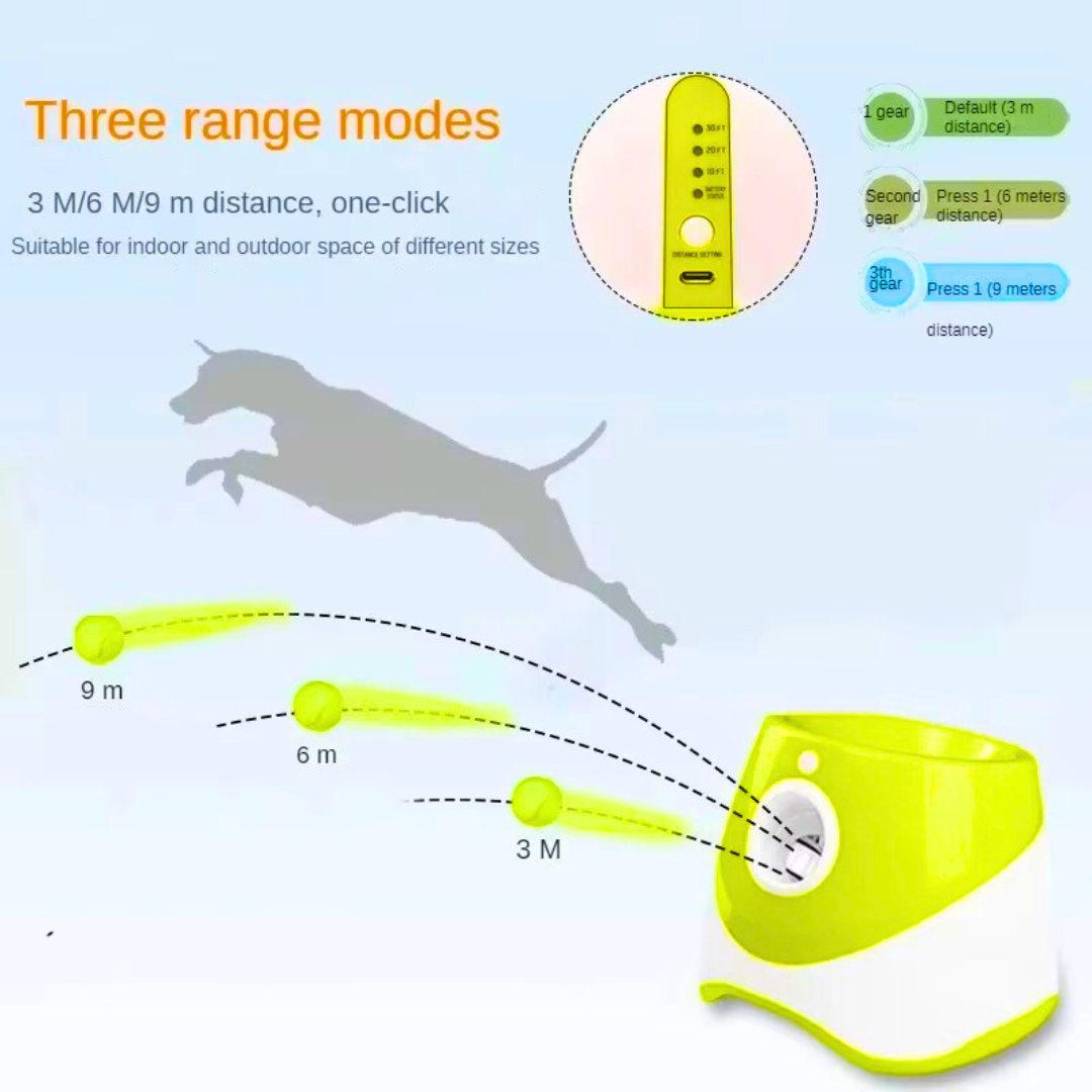Fun Automatic Ball Launcher For Your Dog
