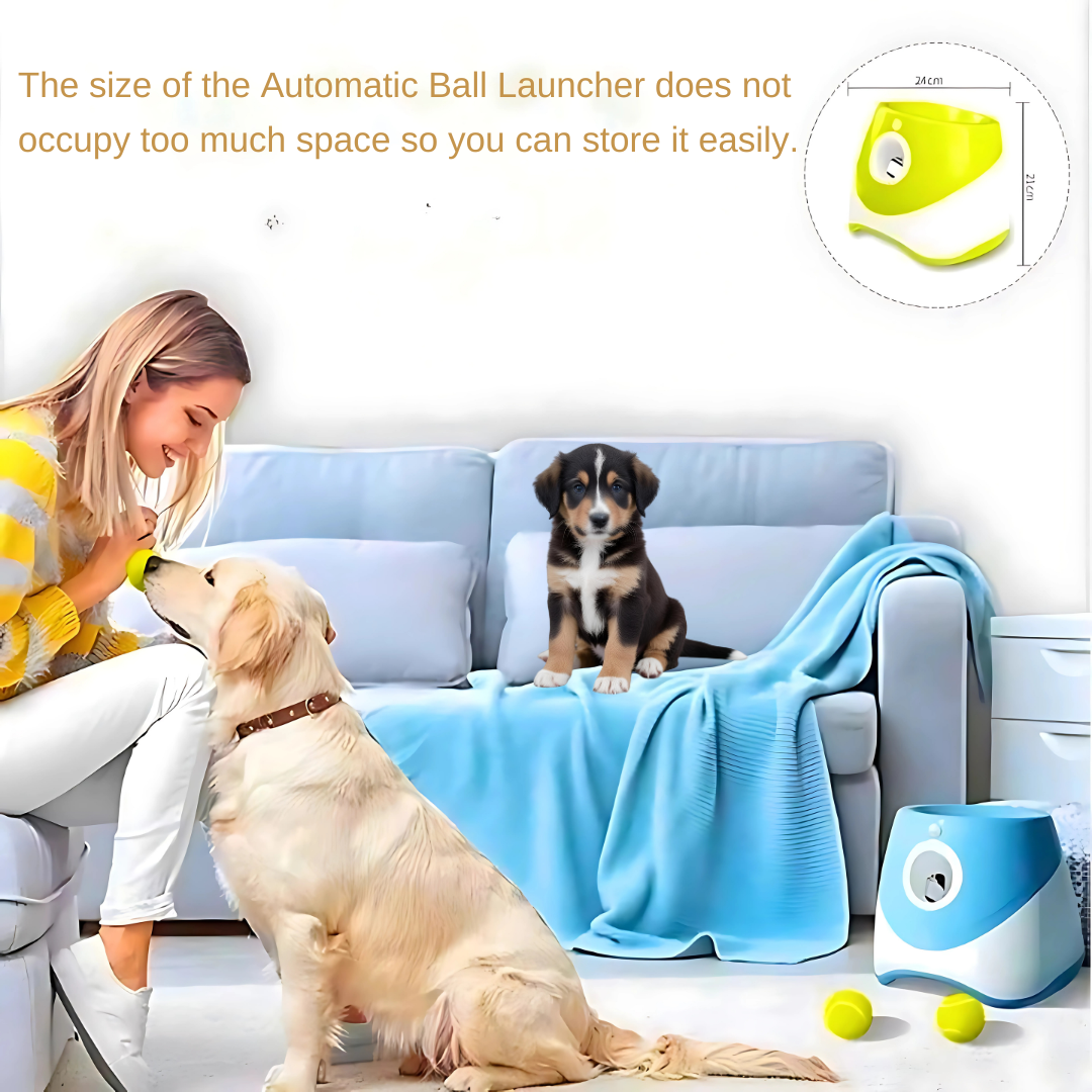 Fun Automatic Ball Launcher For Your Dog