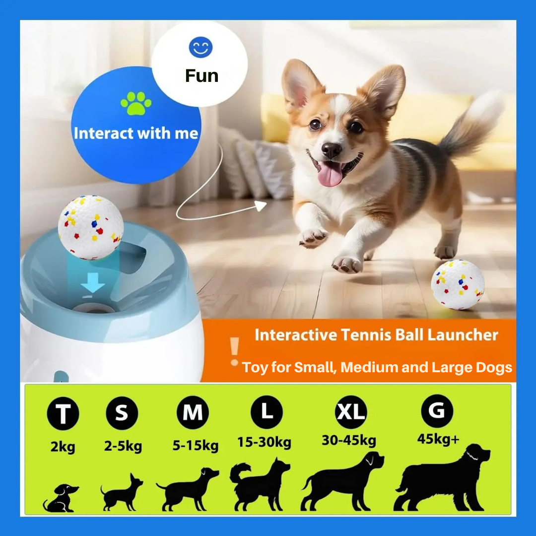 Automatic Ball Launcher For Your Pet
