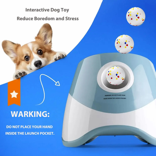 Automatic Ball Launcher For Your Pet