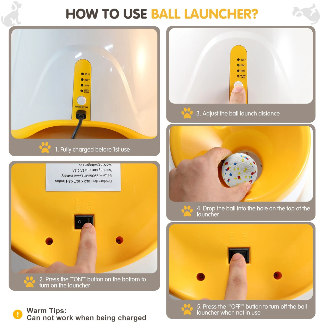 Automatic Ball Launcher For Your Pet