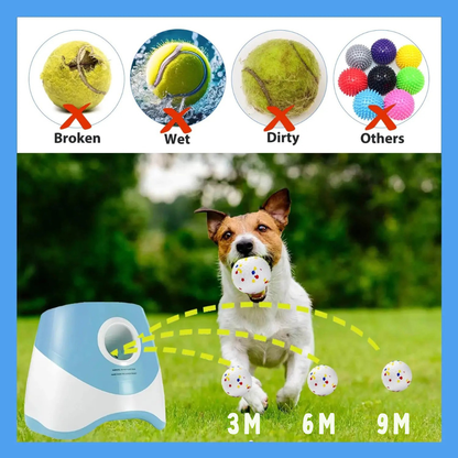 Automatic Ball Launcher For Your Pet