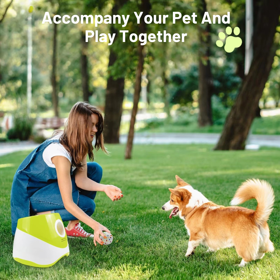 Automatic Ball Launcher For Your Pet