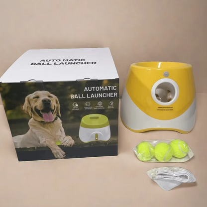 Fun Automatic Ball Launcher For Your Dog